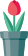 House plant week
