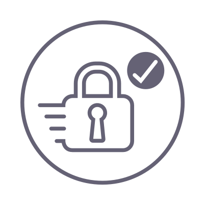 Fast & Secure Icon@2X